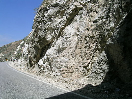 DSCN7461