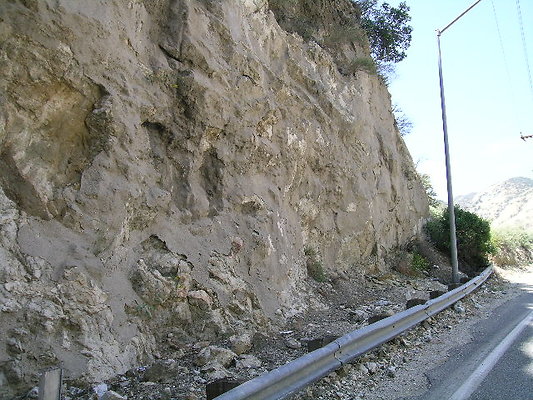 DSCN7459