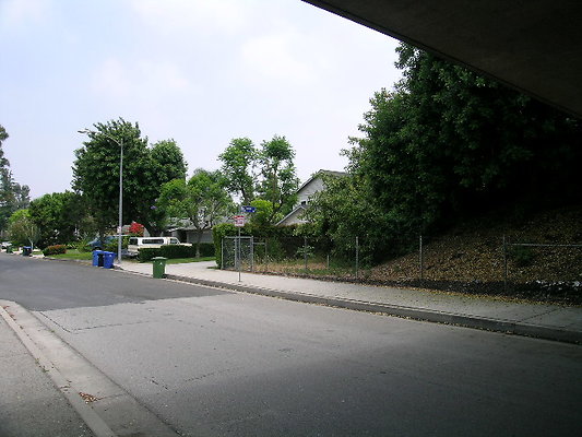 DSCN7503