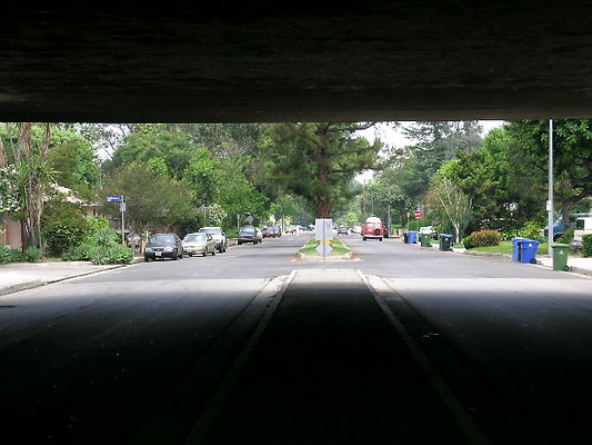 DSCN7513