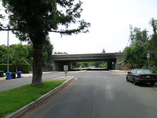 DSCN7493