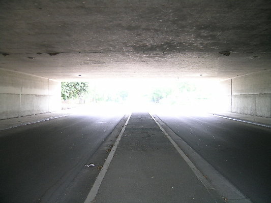 DSCN7499