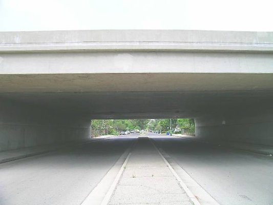 DSCN7508