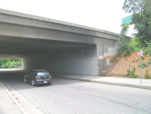 DSCN7497