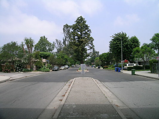 DSCN7502
