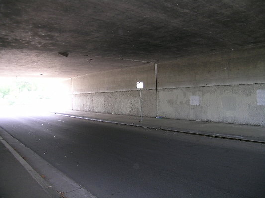 DSCN7500