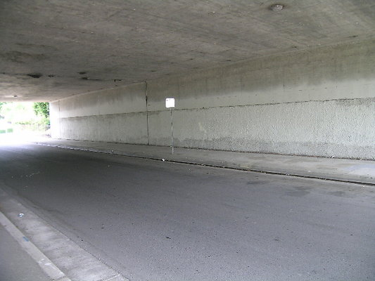 DSCN7512