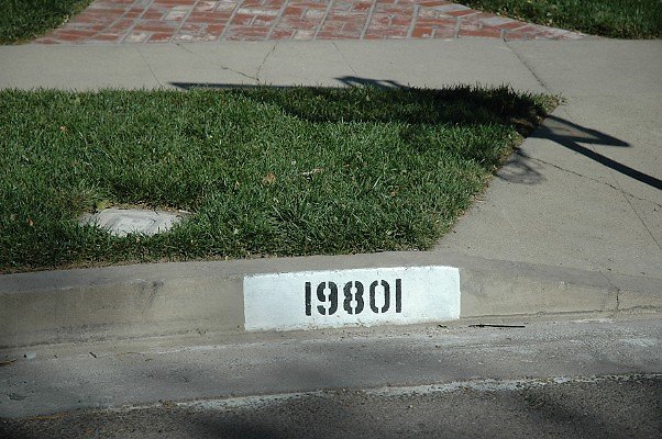 DSC 0066
