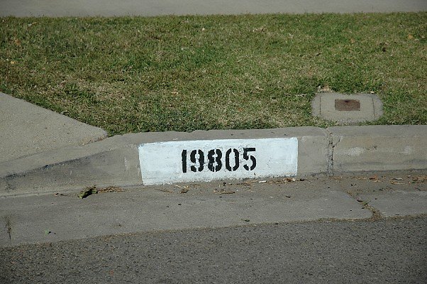 DSC 0064