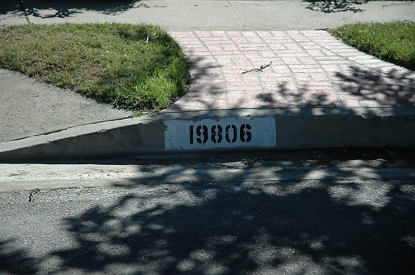 DSC 0070