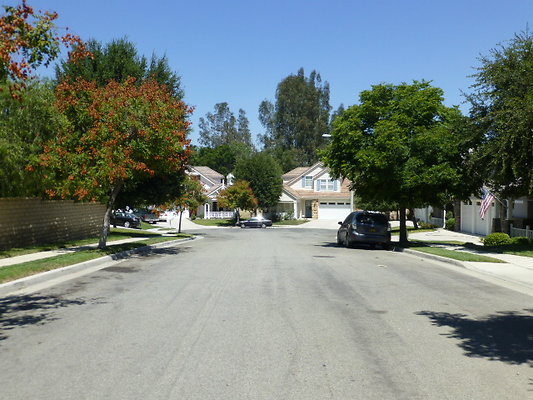 P1100139
