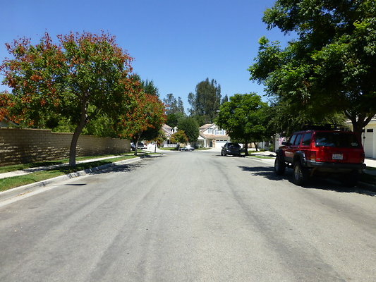 P1100138