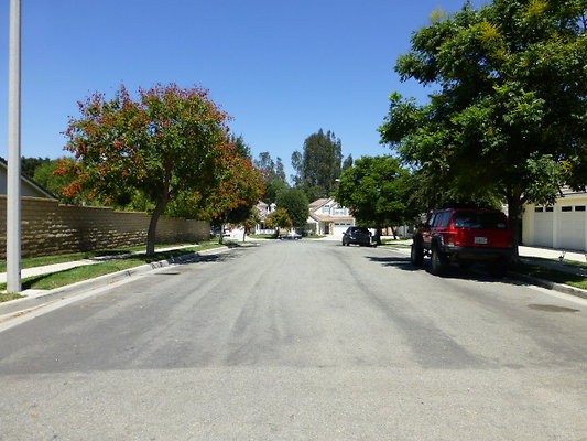 P1100136