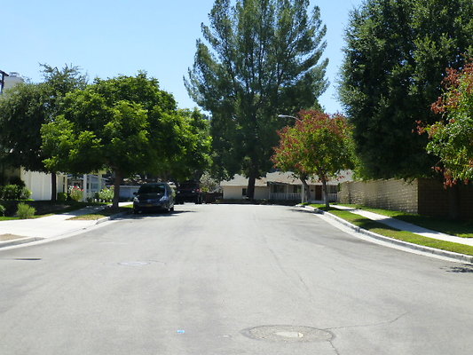 P1100124