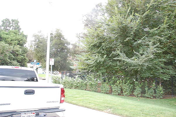 DSC 0200