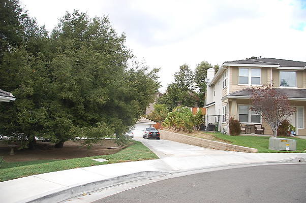 DSC 0202