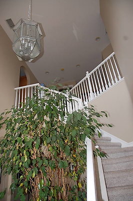 DSC 0221