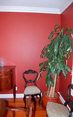 DSC 0057