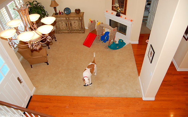 DSC 0071