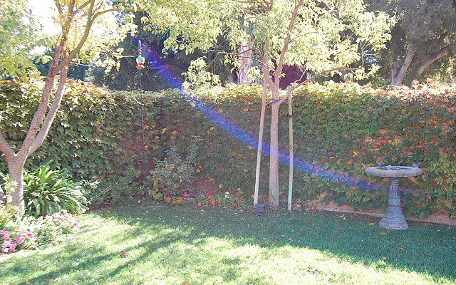 DSC 0186