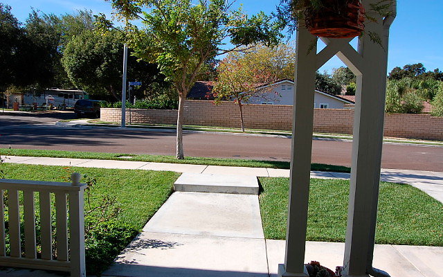 DSC 0155
