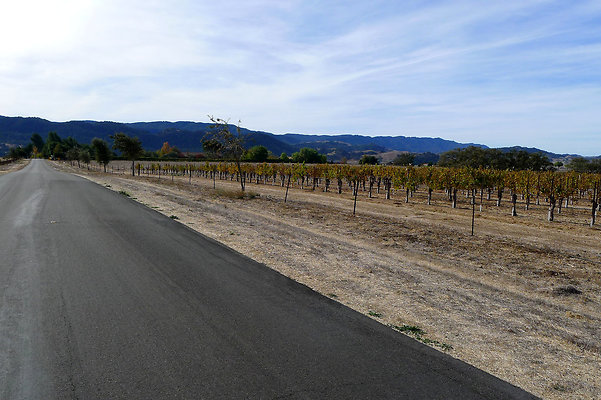 Roads.Meadowlark.12