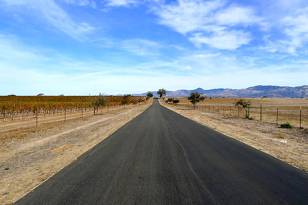 Roads.Meadowlark.13