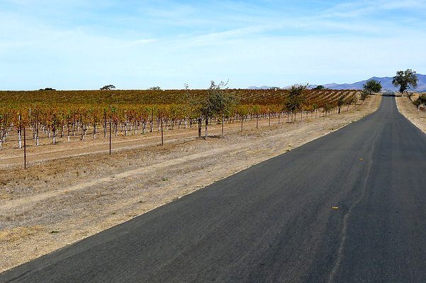 Roads.Meadowlark.04