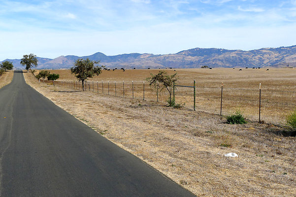 Roads.Meadowlark.06