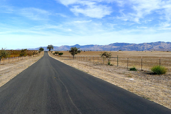 Roads.Meadowlark.14