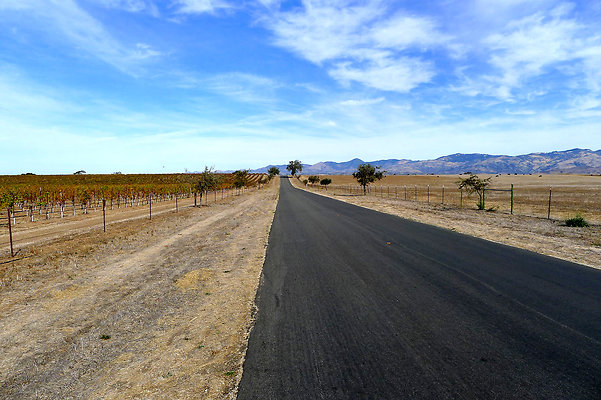 Roads.Meadowlark.08