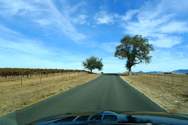 Roads.Meadowlark.17