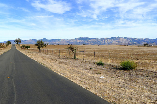 Roads.Meadowlark.03