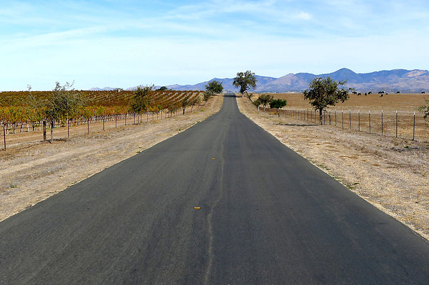 Roads.Meadowlark.05