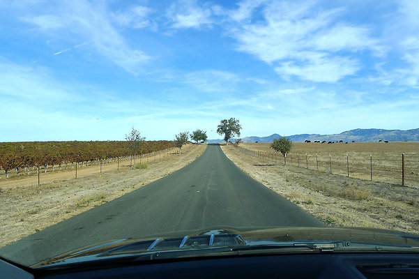 Roads.Meadowlark.16