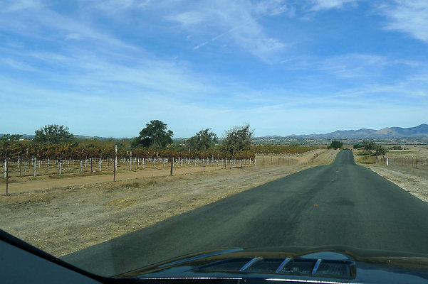 Roads.Meadowlark.18