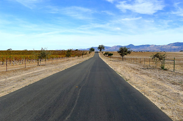 Roads.Meadowlark.02