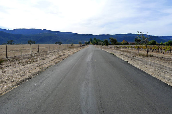 Roads.Meadowlark.11