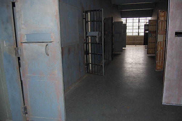 DSC 0129