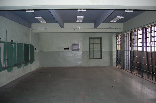 DSC 0123