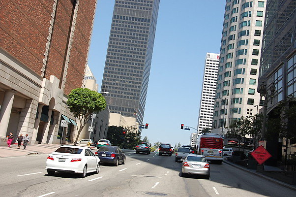 DSC 0123