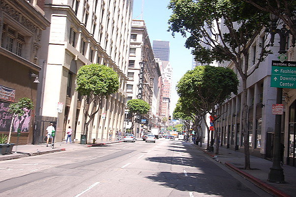 DSC 0214