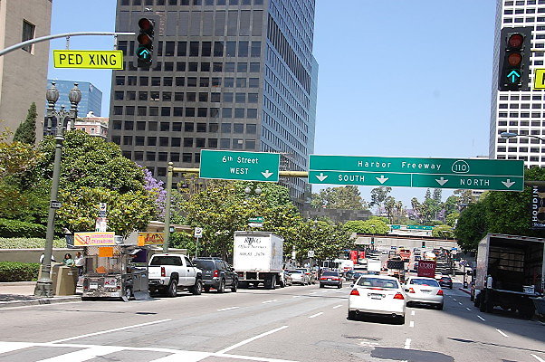 DSC 0229