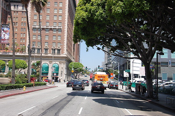 DSC 0222