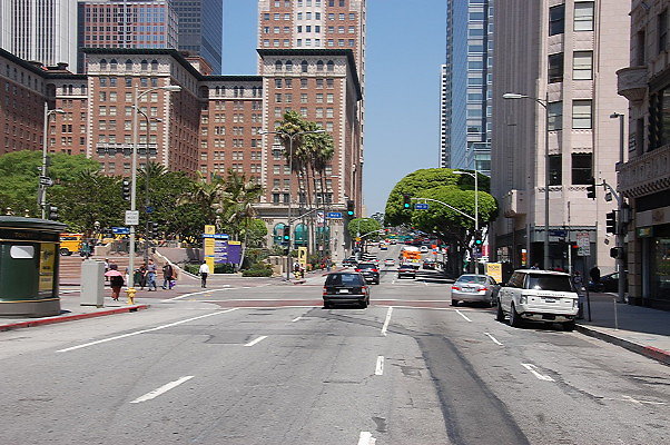 DSC 0220