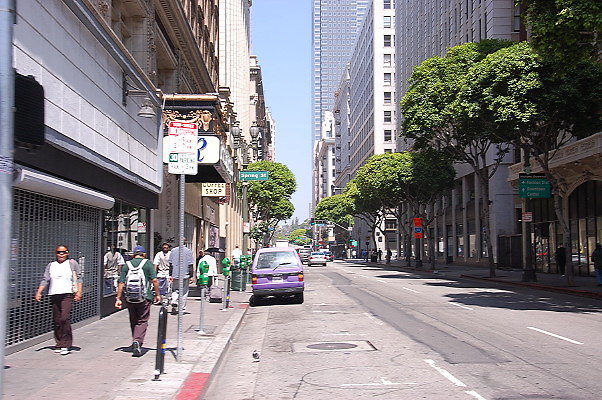 DSC 0213