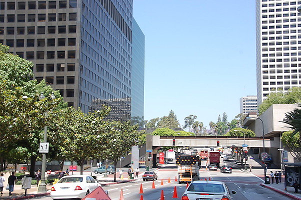 DSC 0231
