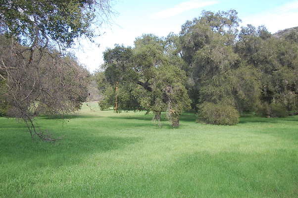 DSC 0741
