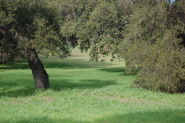 DSC 0744