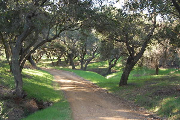Ventura Farms Road behind Guest House